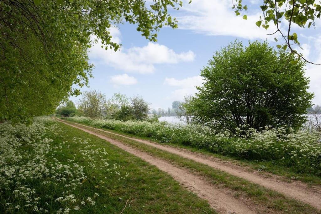 Luxe Chalet In Prachtig Natuurgebied Lith Zewnętrze zdjęcie